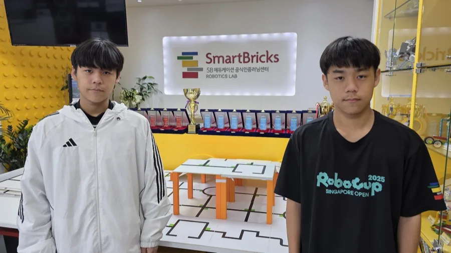 The Bricks team